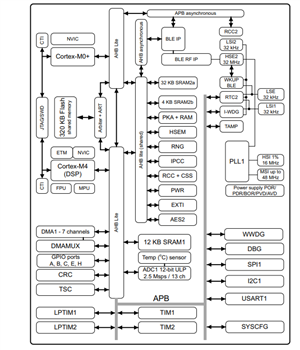 Block Diagram - STMicroelectronics STM32WB1xCC Multiprotocol Wireless 32-bit MCUs